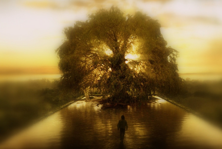 Árvore do Caminho Dourado